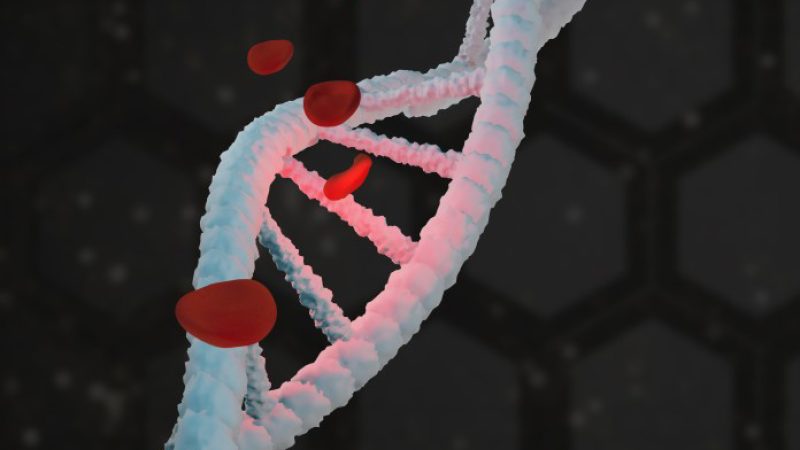 dna-helix-life-structure-and-red-blood-cells-3d-illustration_t20_8g7nb6-1